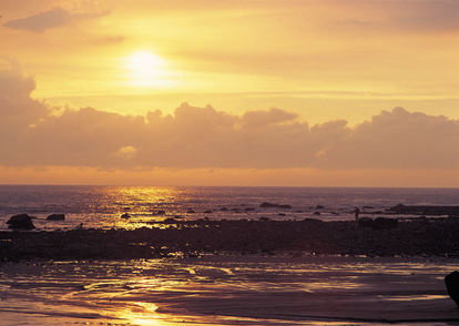 nature-112.jpg
