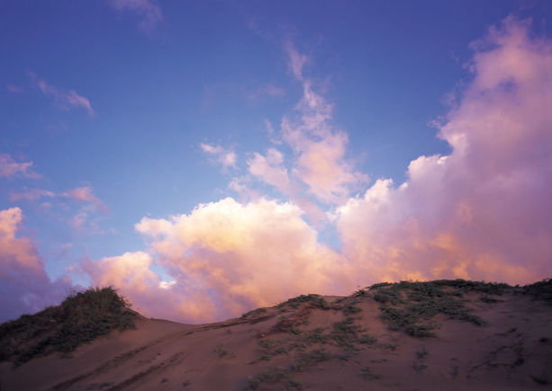 Zoom: 1nature-107_kopie_2.jpg