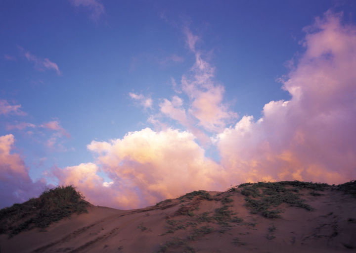 1nature-107_kopie_2.jpg 1nature-107_kopie_2.jpg