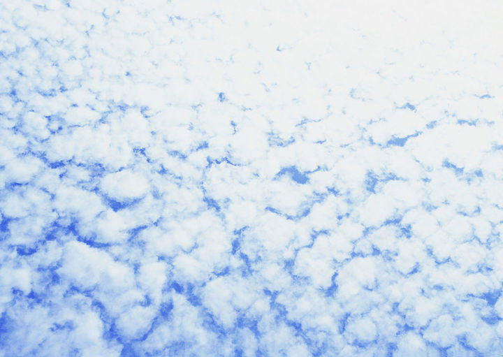 nature-151.jpg nature-151.jpg