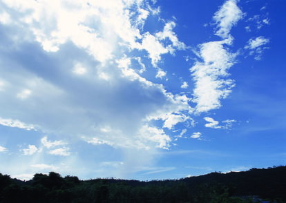 nature-149.jpg