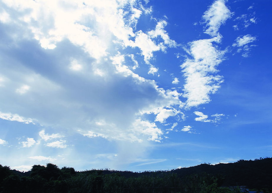 Zoom: nature-149.jpg